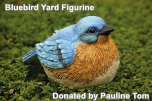 YardBluebird